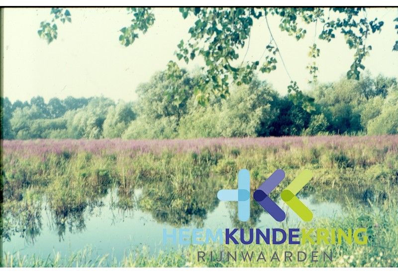 Natuur Oude Rijn Coll. G.B. Janssen (2)